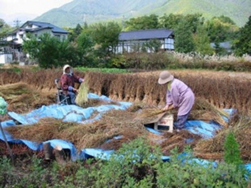 Village Inn Seizanso 松本 外观 照片